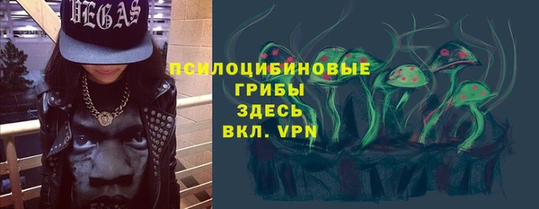 мяу мяу мука Аркадак