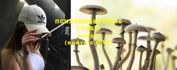 PSILOCYBIN Арсеньев