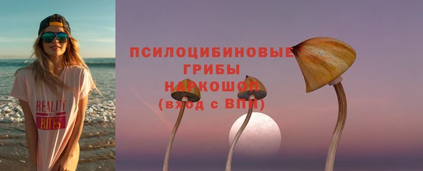 трава Медвежьегорск