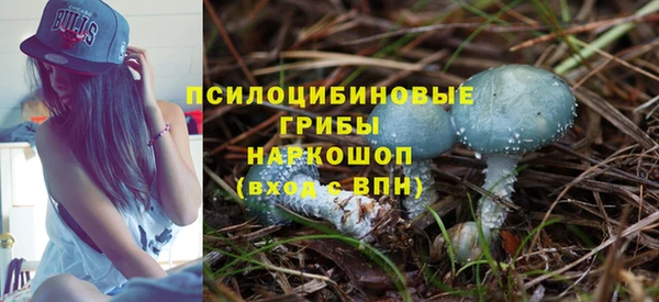 мяу мяу мука Аркадак