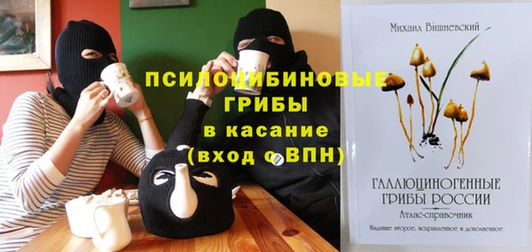 PSILOCYBIN Арсеньев