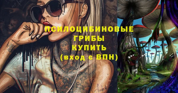 мяу мяу мука Аркадак