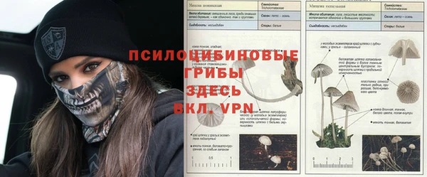 каннабис Медногорск