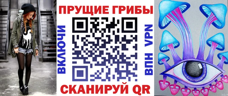 Галлюциногенные грибы Psilocybe  купить наркотик  Азнакаево 